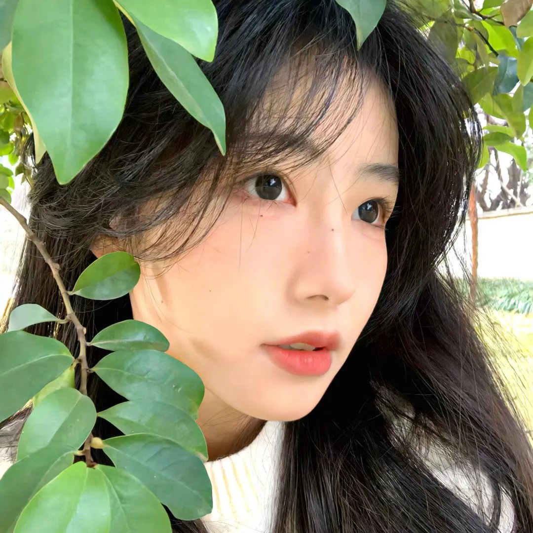 双面名模